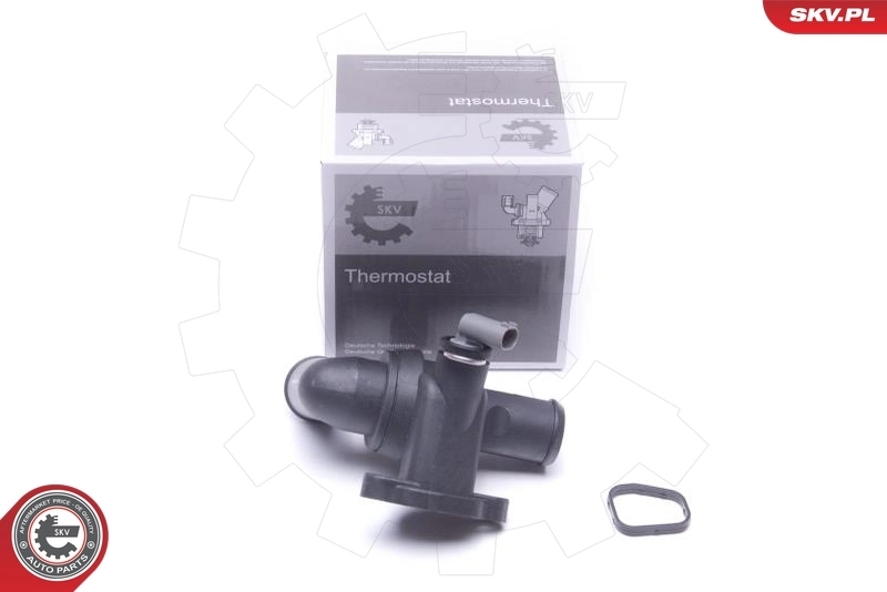 Thermostat, coolant